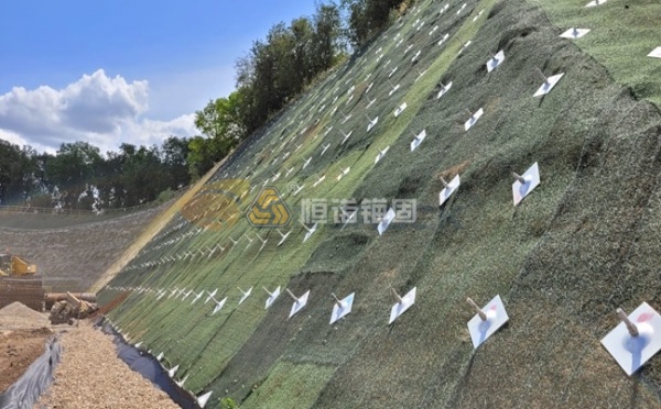 山體護(hù)坡錨桿做法